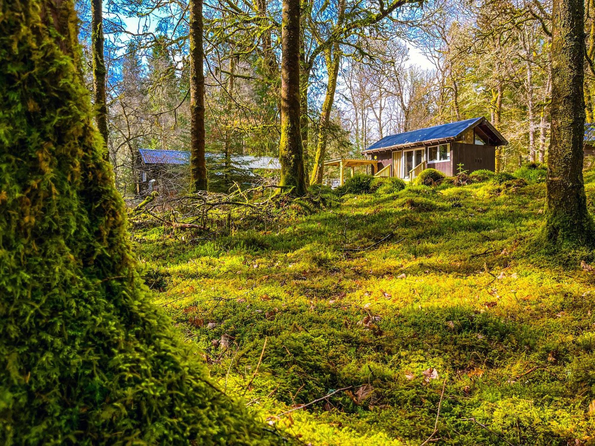 Loch Aweside Forest Cabins Dalavich Quarto foto